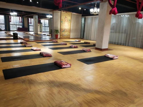 暖豐石墨烯電熱膜地暖 瑜伽館、養(yǎng)生館與健身房的應(yīng)用優(yōu)勢及研發(fā)進展